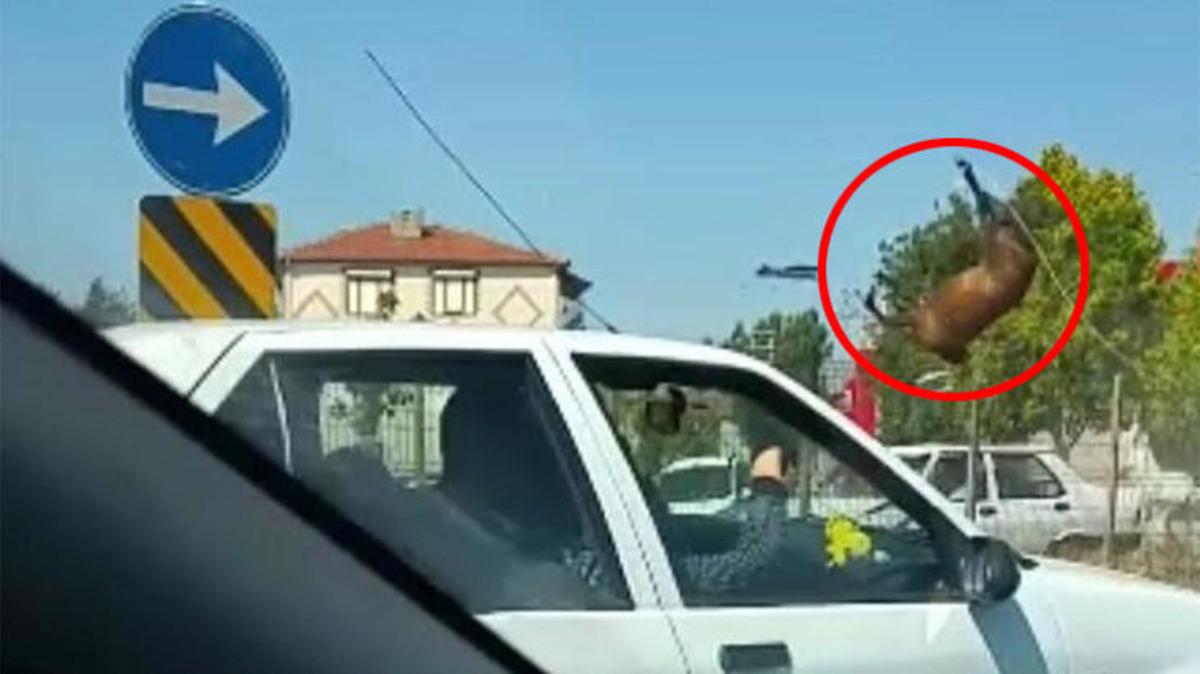 Eskişehir'de inanılmaz olay! Y&uuml;zlerce kiloluk at havaya u&ccedil;tu