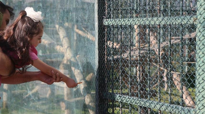 Hayvanat Bah&ccedil;esinde hafta sonu yoğunluğu