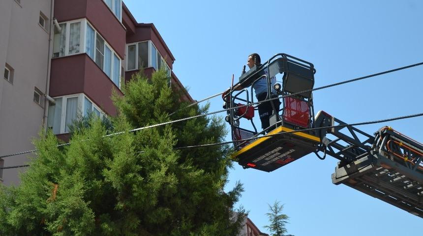 K&ouml;pekten korkan kedi 15 saat ağa&ccedil;ta mahsur kaldı