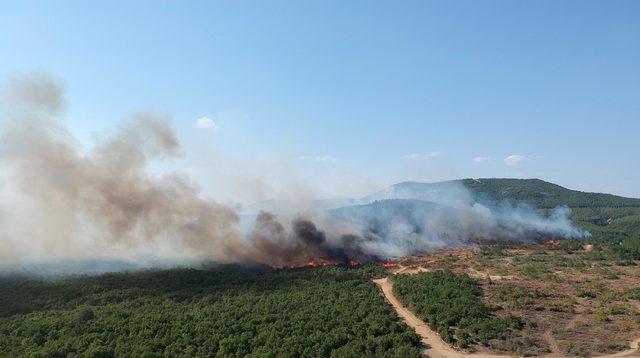 Keşan'daki orman yangını 12 saatte söndürüldü