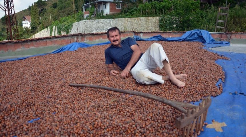 G&uuml;neşli hava en &ccedil;ok fındık &uuml;reticisini sevindirdi
