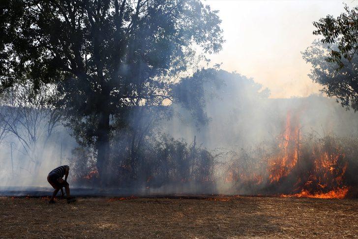 Muğla'da yangın! Kaplumbağa ve yumurtaları da yandı G1