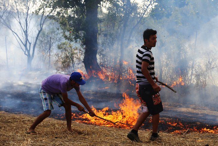 Muğla'da yangın! Kaplumbağa ve yumurtaları da yandı G2