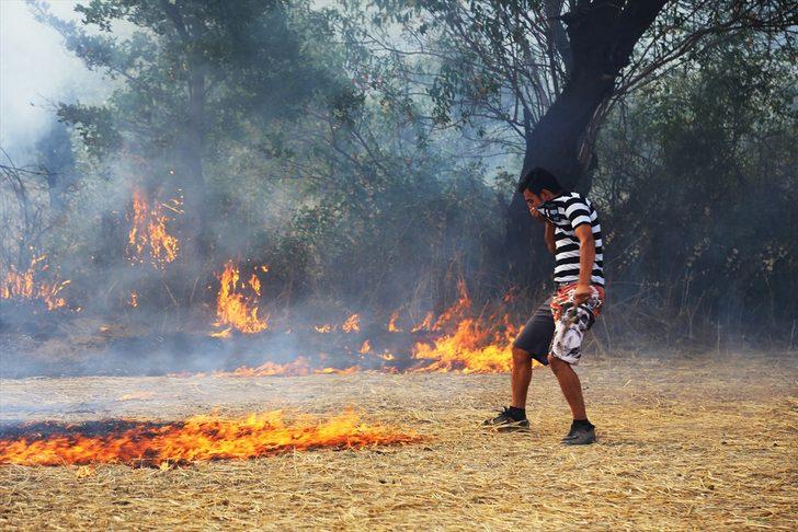 Muğla'da yangın! Kaplumbağa ve yumurtaları da yandı G3