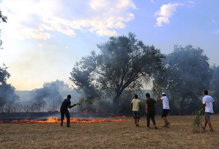 Muğla'da yangın! Kaplumbağa ve yumurtaları da yandı G4