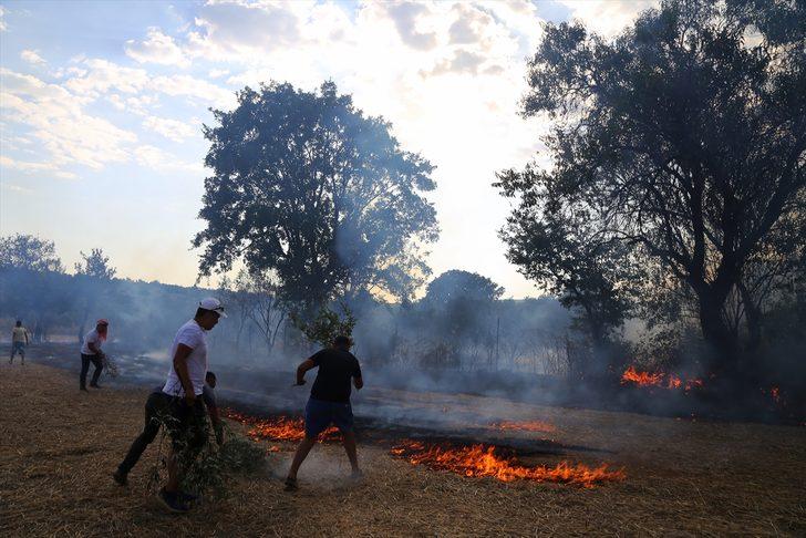 Muğla'da yangın! Kaplumbağa ve yumurtaları da yandı G5