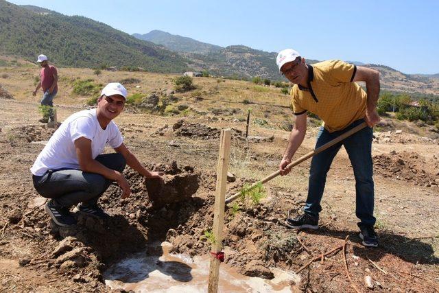 Alaşehir’de evlenecek çiftler iki fidan dikecek