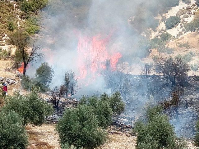 Kaş’ta çıkan orman yangını büyümeden söndürüldü