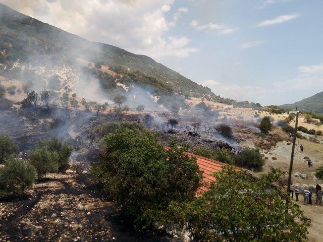 Kaş’ta çıkan orman yangını büyümeden söndürüldü