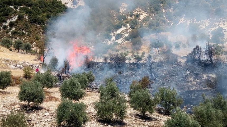 Kaş&rsquo;ta &ccedil;ıkan orman yangını b&uuml;y&uuml;meden s&ouml;nd&uuml;r&uuml;ld&uuml;