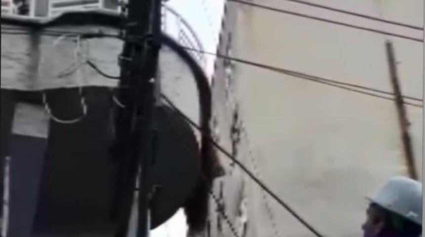 Diyarbakır&rsquo;da elektrik tellerine takılan g&uuml;vercini DEDAŞ ekipleri kurtardı