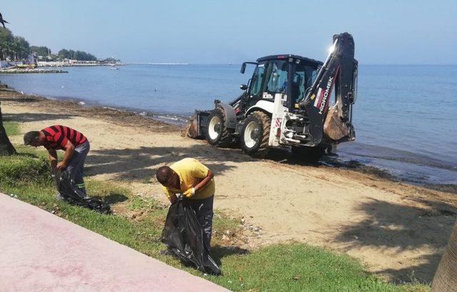 Yalova’da sahil temizleniyor