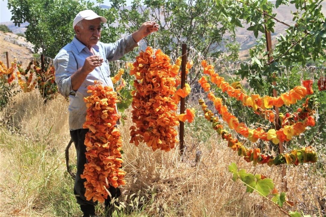 Elazığ&rsquo;da kış i&ccedil;in &lsquo;kurutmalık&rsquo; mesaisi  başladı