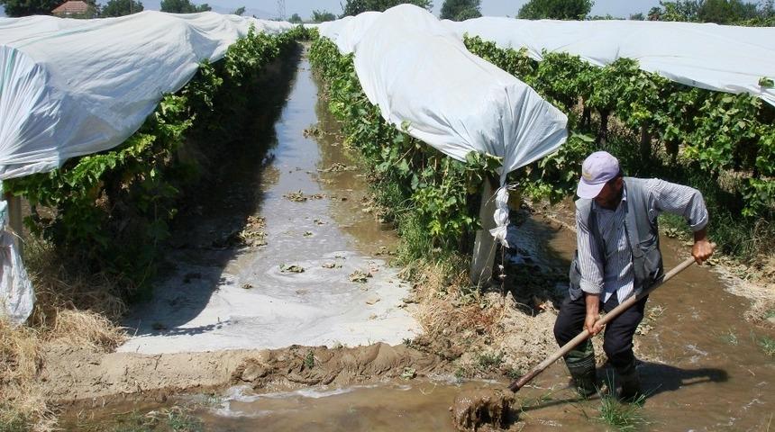 &Uuml;z&uuml;mler sıcaktan etkilenmesin diye sulama artırıldı