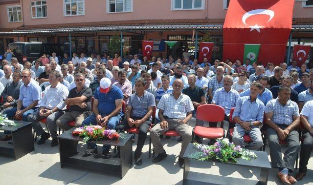 Çeltik üreticileri hasat öncesi taban fiyatların açıklanmasını istiyor