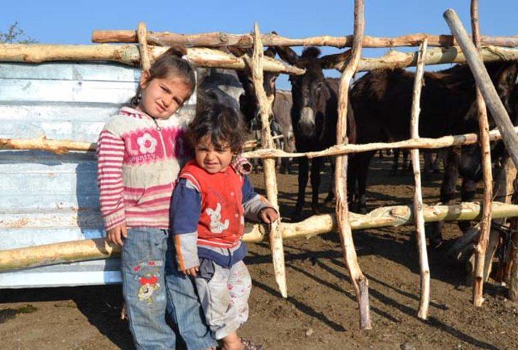 Eşek sütünün litresini 120 liradan satıyor G4