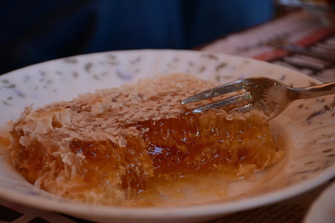 G&uuml;m&uuml;şhane&rsquo;de bal verimi son 10 yılın en d&uuml;ş&uuml;k seviyesinde