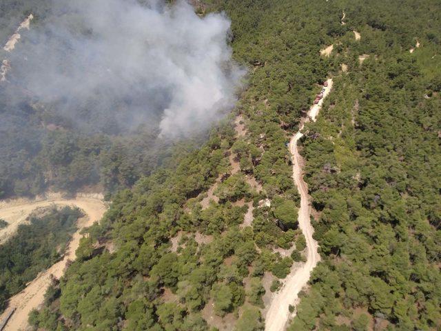 Buldan'da 1 dekar ormanlık alan yandı