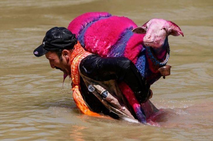 Geleneksel yarış başladı! Koyunlarını sudan geçirmek için kıyasıya yarıştılar G3