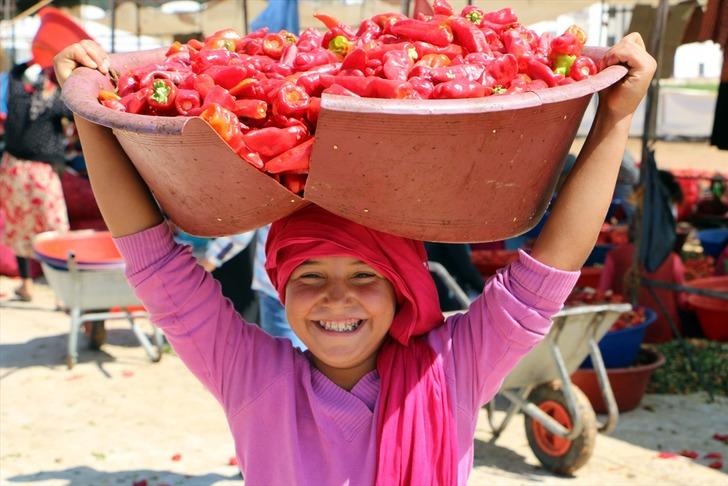 İsotun "acı" serüveni başladı G1