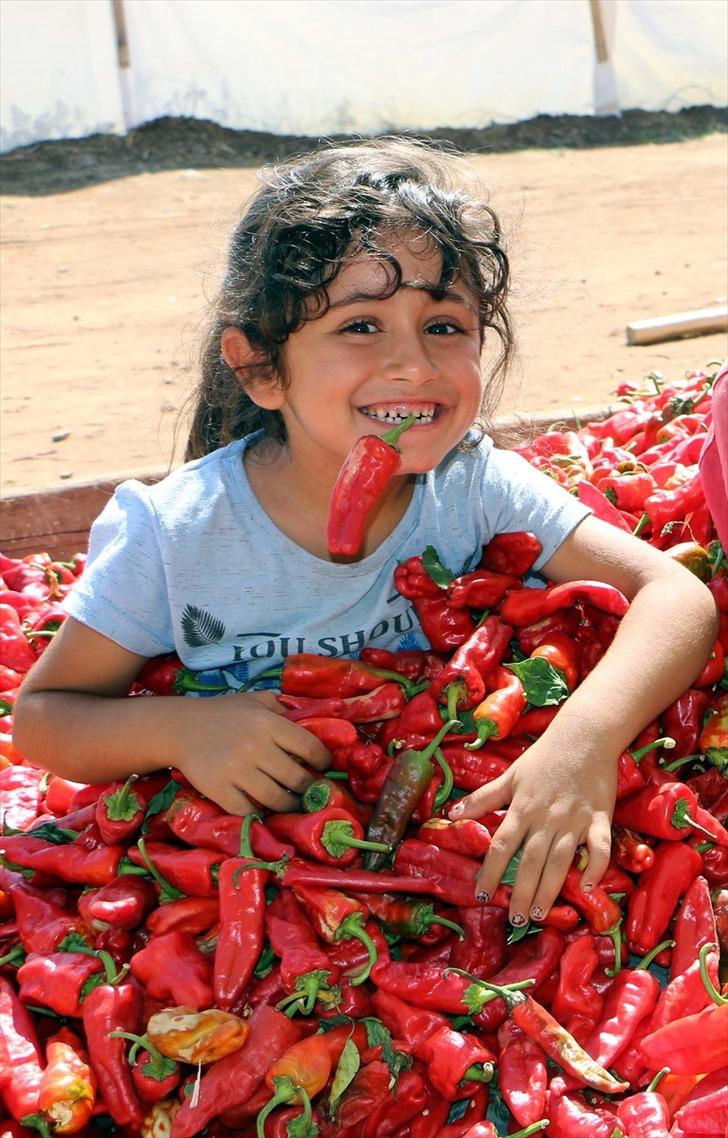 İsotun "acı" serüveni başladı G2
