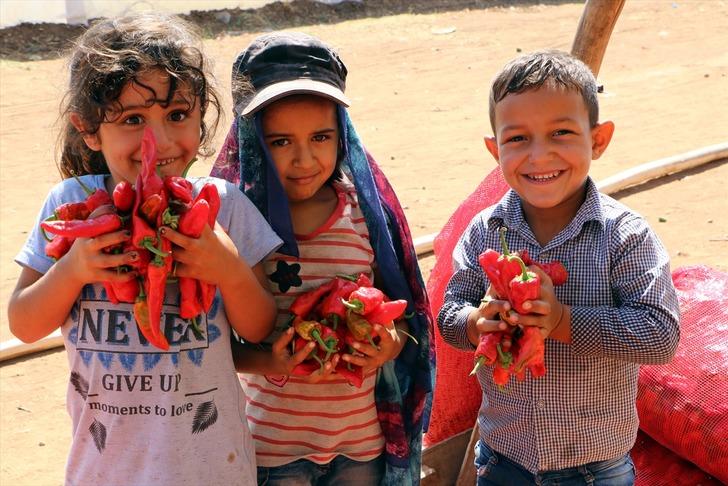 İsotun "acı" serüveni başladı G3