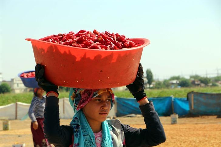 İsotun "acı" serüveni başladı G5