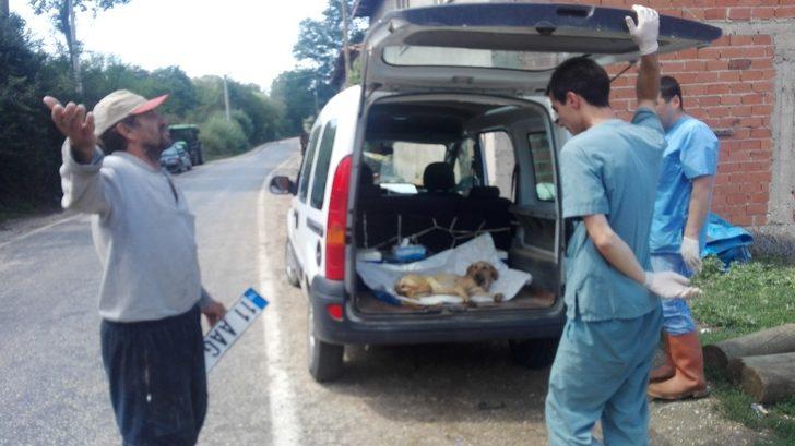 Köpeğe çarpıp kaçtı G1