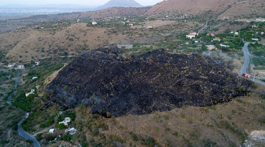 Akrebe kızdı 50 dekar araziyi yaktı