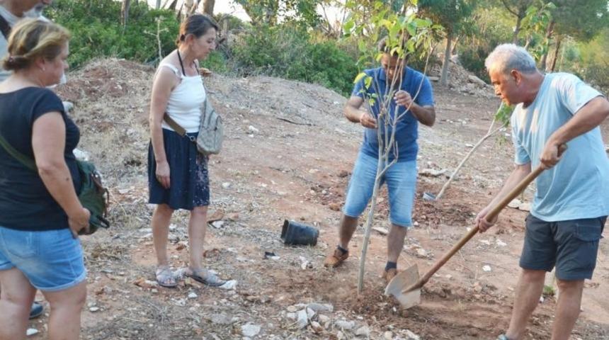 Spor ve Yelken Kul&uuml;b&uuml; Kurucusu anısına fidan dikildi