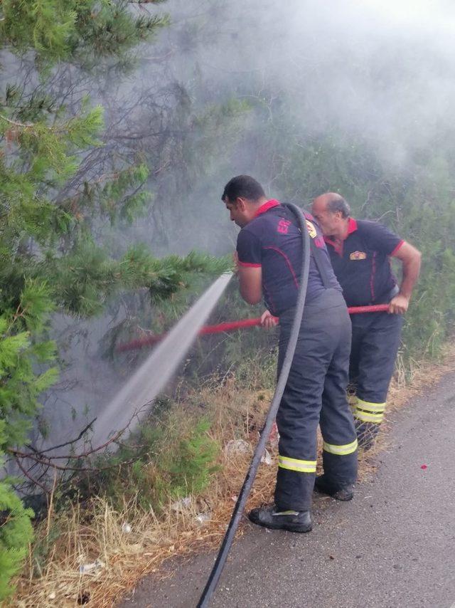 Erzincan’da yıldırım düşmesi sonucu arazide yangın çıktı