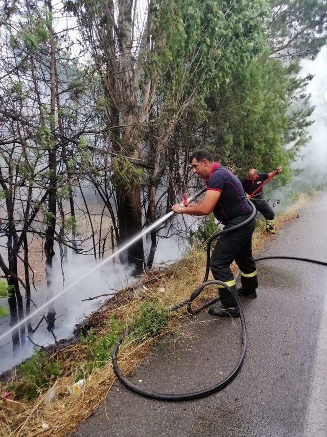 Erzincan’da yıldırım düşmesi sonucu arazide yangın çıktı