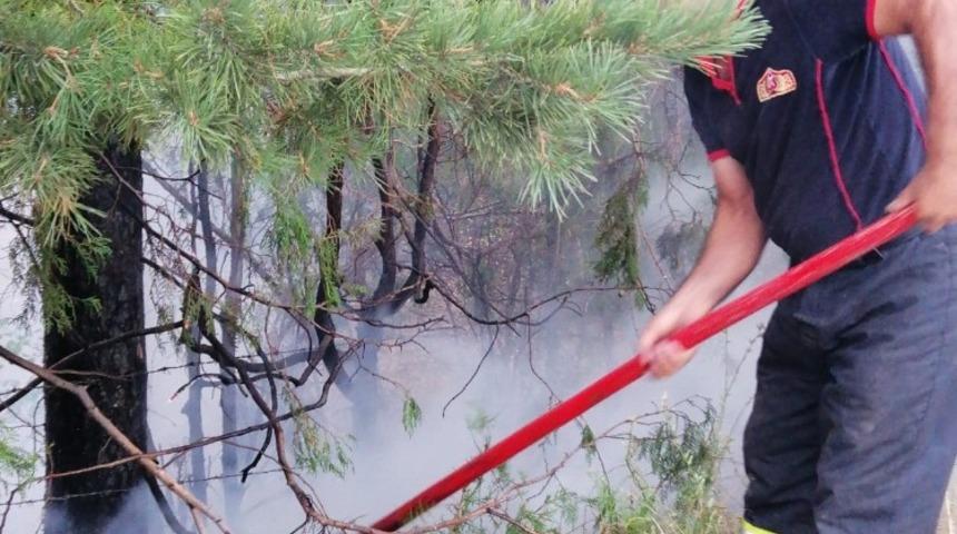 Erzincan’da yıldırım düşmesi sonucu arazide yangın çıktı