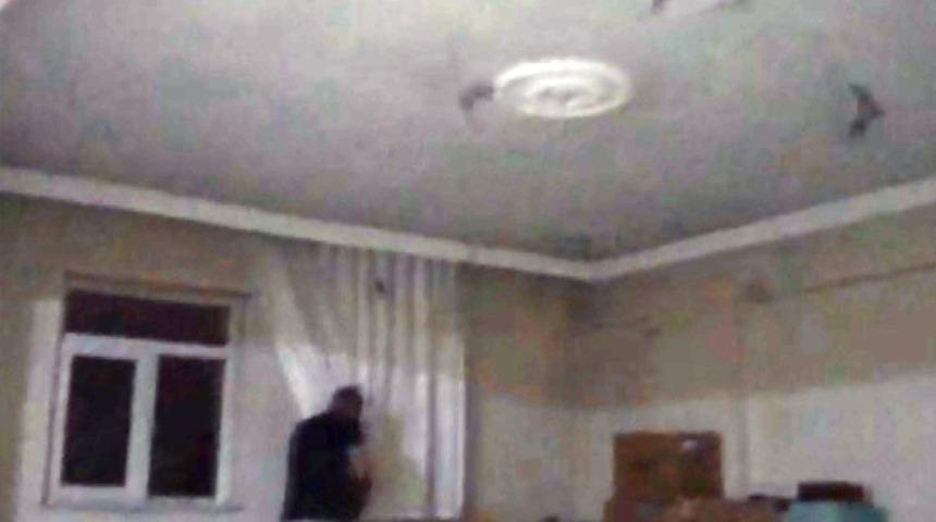 Ağrı'da evi yarasalar bastı! 