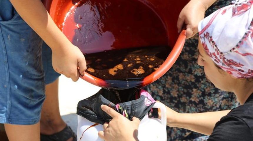 Kara üzüm pekmezinin damaklara yolculuğu başladı