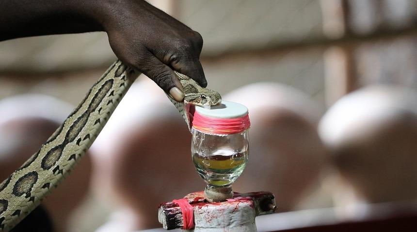 Bu maddelerden ka&ccedil;ın! D&uuml;nyanın en &ouml;l&uuml;mc&uuml;l 5 zehri