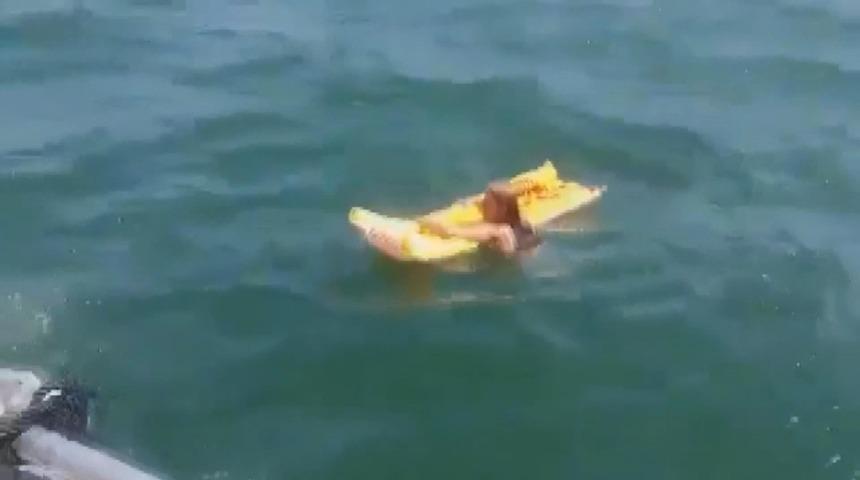 Sarı deniz yatağı hayatını kurtardı