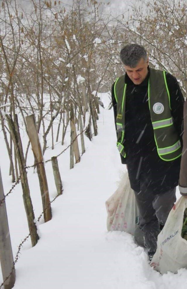 Fındık bahçesinde kalp krizi geçirerek hayatını kaybetti