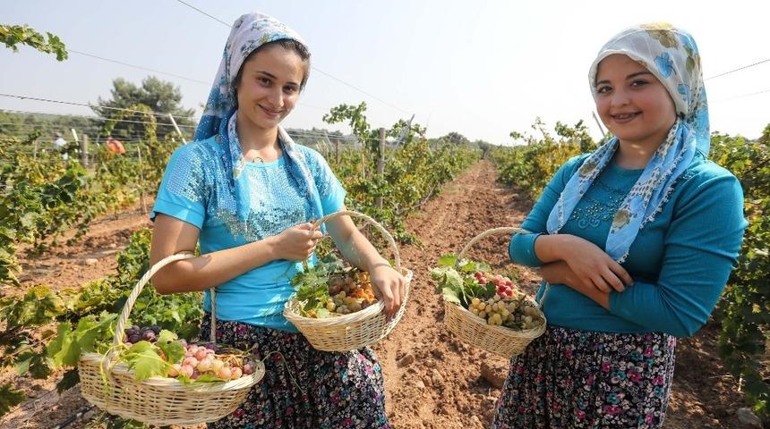 Buca&rsquo;da &uuml;z&uuml;m şenliği heyecanı