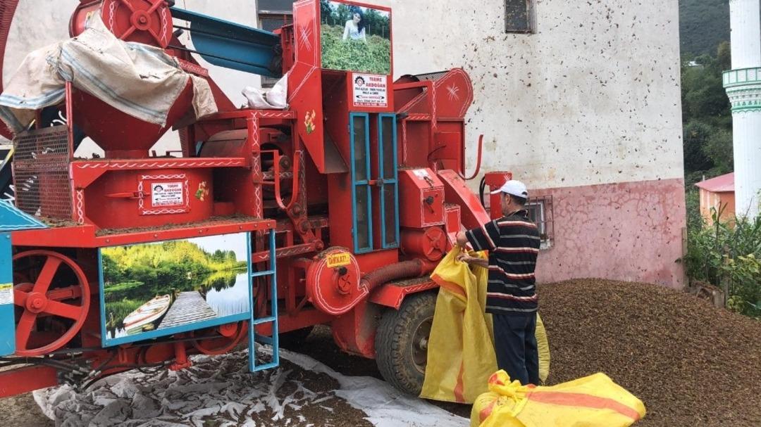 Patozcular bu yıl mutlu