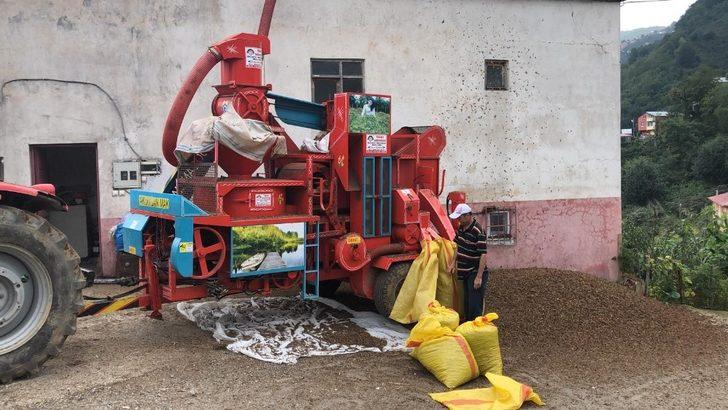 Patozcular bu yıl mutlu G3