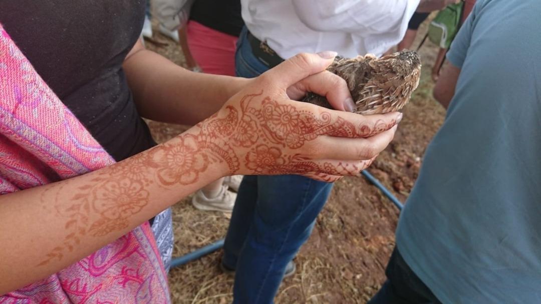 Diyarbakır&rsquo;da 130 bıldırcın doğaya salındı