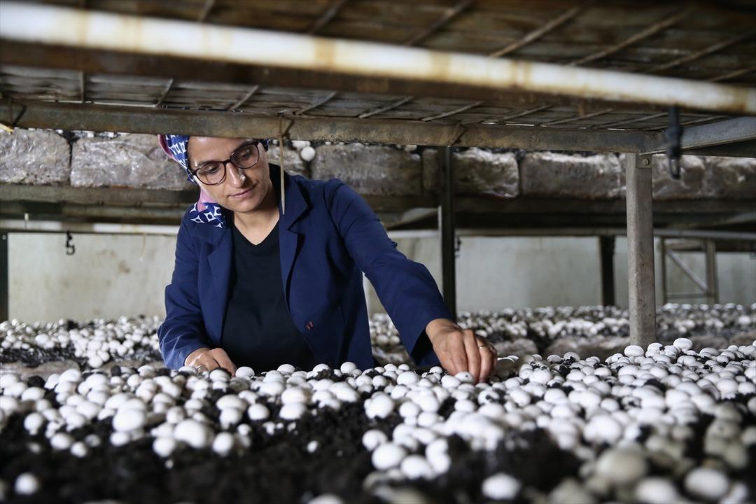 Evlerinin altında &uuml;retip ihra&ccedil; ediyorlar