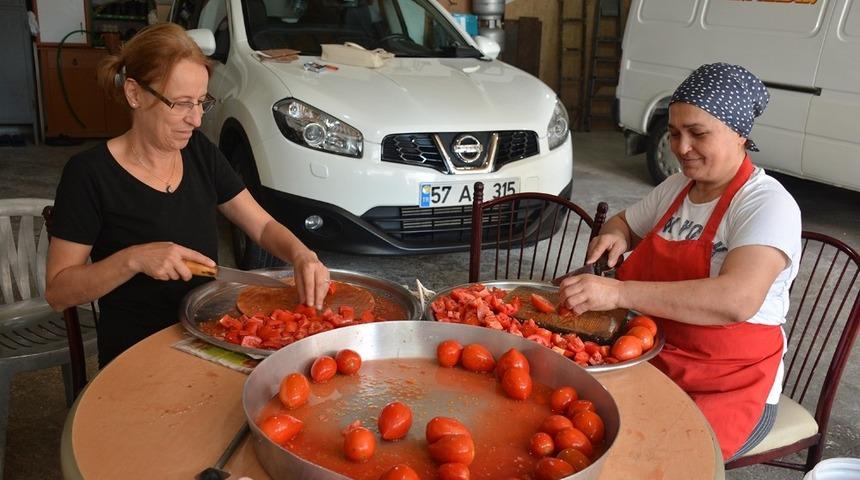 Sinop&rsquo;ta domates sal&ccedil;ası mesaisi başladı