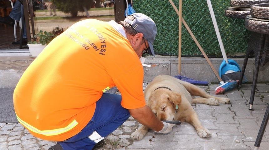 Yalova Belediyesi&rsquo;nden &ouml;rnek proje