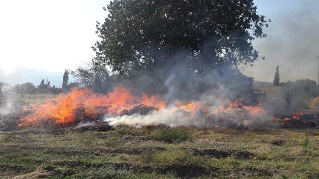 Börezli ovasındaki ot yangını korkuttu