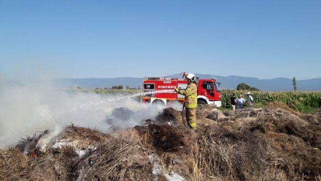 Börezli ovasındaki ot yangını korkuttu