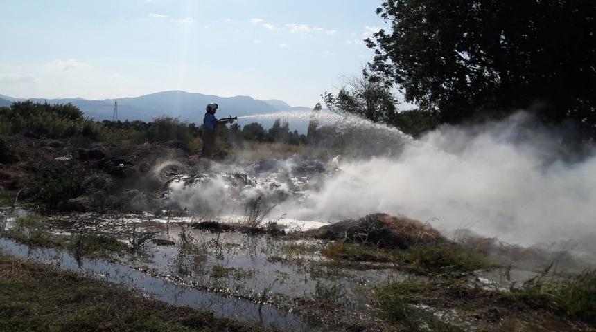 B&ouml;rezli ovasındaki ot yangını korkuttu