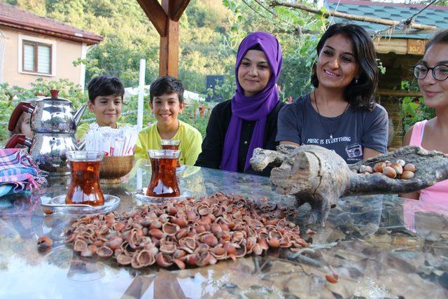 Fındık kabuğundan çay yaptı