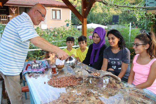 Fındık kabuğundan çay yaptı